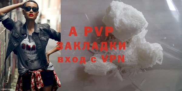стафф Лабытнанги