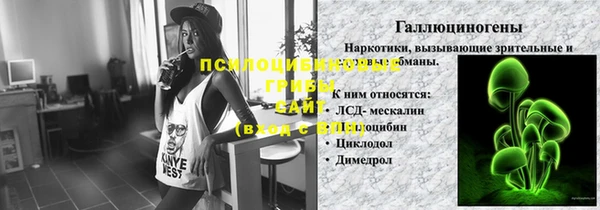 ПСИЛОЦИБИНОВЫЕ ГРИБЫ Ладушкин