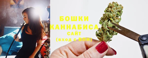 ПСИЛОЦИБИНОВЫЕ ГРИБЫ Ладушкин