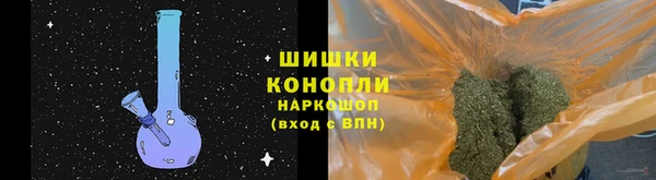 ПСИЛОЦИБИНОВЫЕ ГРИБЫ Ладушкин
