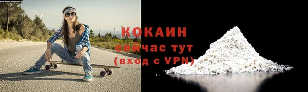 ПСИЛОЦИБИНОВЫЕ ГРИБЫ Ладушкин