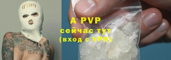 стафф Лабытнанги