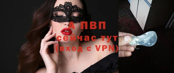 ПСИЛОЦИБИНОВЫЕ ГРИБЫ Ладушкин