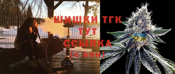 ПСИЛОЦИБИНОВЫЕ ГРИБЫ Ладушкин