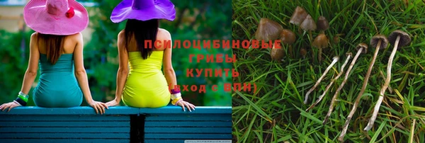 стафф Лабытнанги