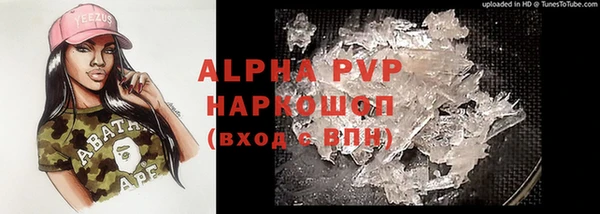 стафф Лабытнанги